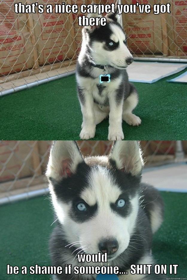 THAT'S A NICE CARPET YOU'VE GOT THERE WOULD BE A SHAME IF SOMEONE.... SHIT ON IT Insanity puppy