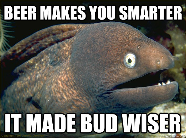 Beer makes you smarter It made bud wiser - Beer makes you smarter It made bud wiser  Bad Joke Eel