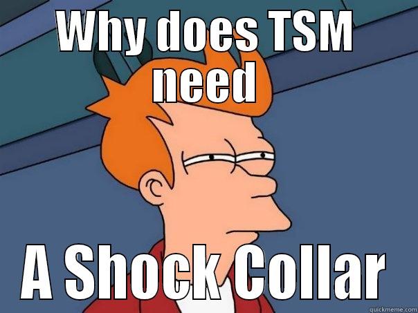 WHY DOES TSM NEED A SHOCK COLLAR Futurama Fry