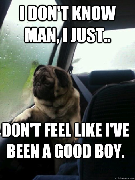 I don't know man, I just.. don't feel like i've been a good boy.  Introspective Pug