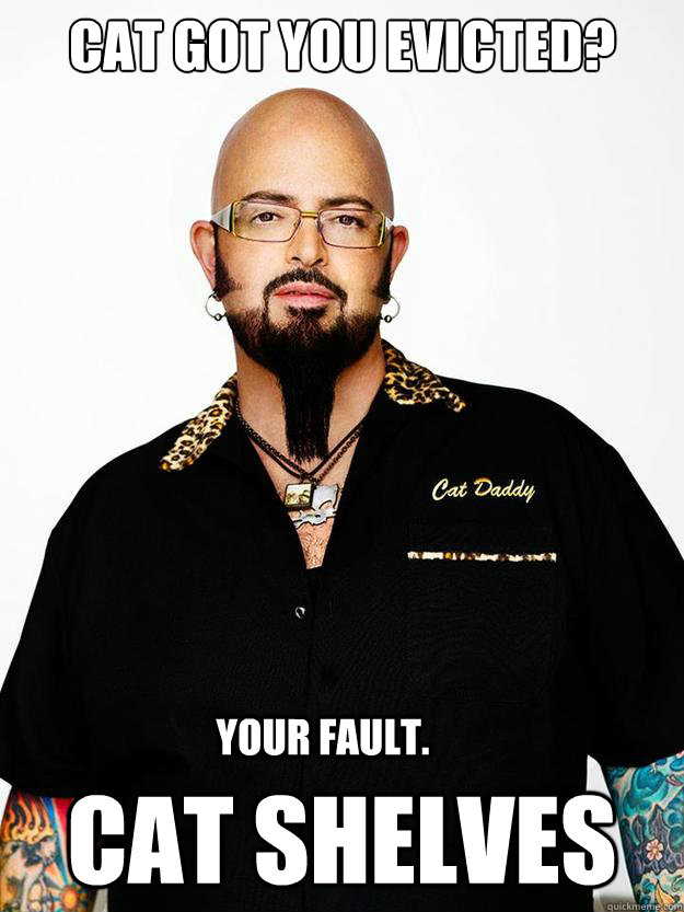 cat got you evicted? cat shelves Your fault. - cat got you evicted? cat shelves Your fault.  Jackson Galaxy