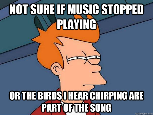 not sure if music stopped playing or the birds i hear chirping are part of the song  Futurama Fry