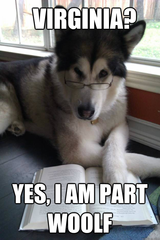 Virginia? Yes, I am part Woolf  Condescending Literary Pun Dog