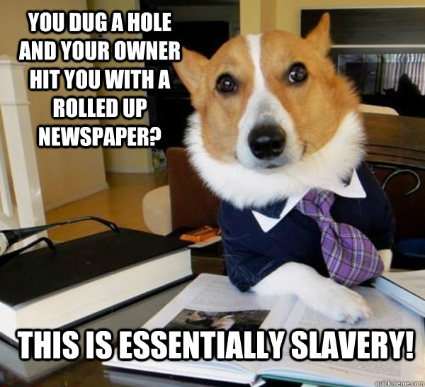 You dug a hole and your owner hit you with a rolled up newspaper? This is essentially slavery!  Lawyer Dog