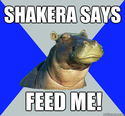 shakera says feed me!  Skeptical Hippo