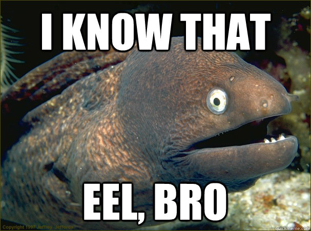 i know that  eel, bro  Bad Joke Eel