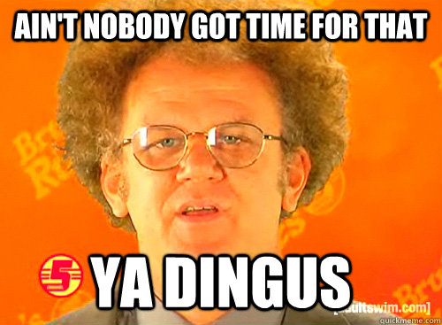 AIN'T NOBODY GOT TIME FOR THAT YA DINGUS  