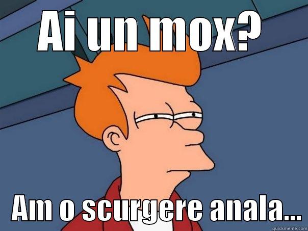 AI UN MOX?    AM O SCURGERE ANALA... Futurama Fry