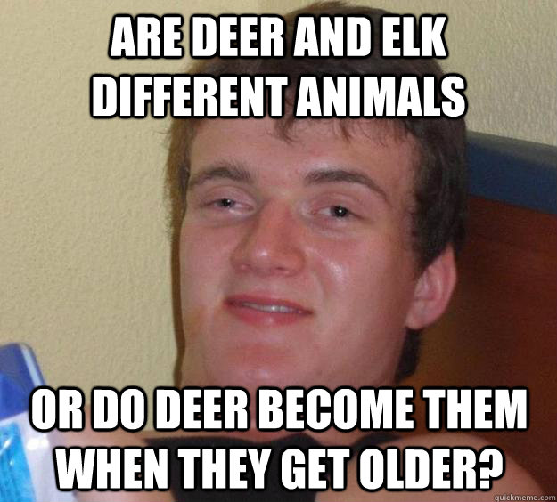 Are deer and elk different animals Or do deer become them when they get older?  10 Guy