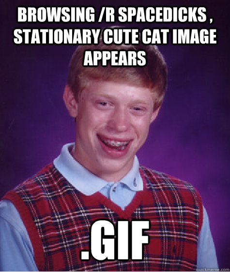 Browsing /r spacedicks , stationary cute cat image appears   .gif  Bad Luck Brian