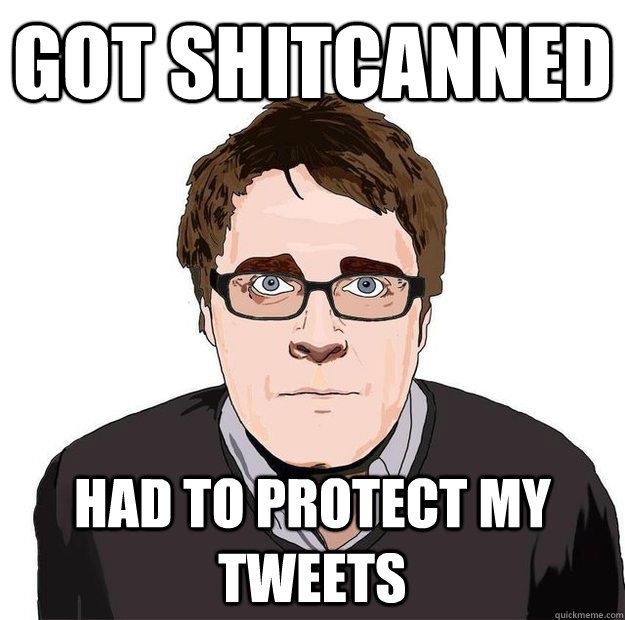 got shitcanned had to protect my tweets  Always Online Adam Orth