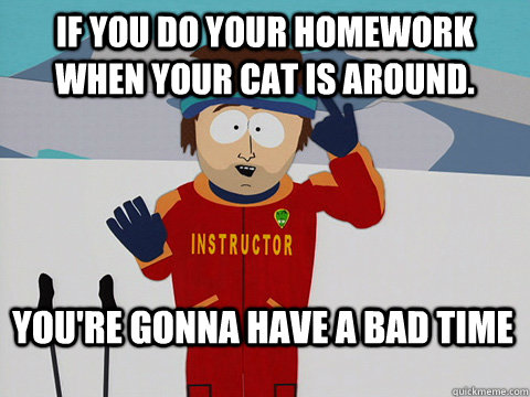 If you do your homework when your cat is around. You're gonna have a bad time  Bad Time