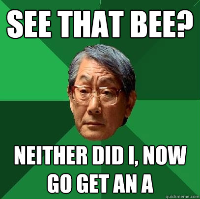 See that bee? Neither did I, now go get an A  High Expectations Asian Father