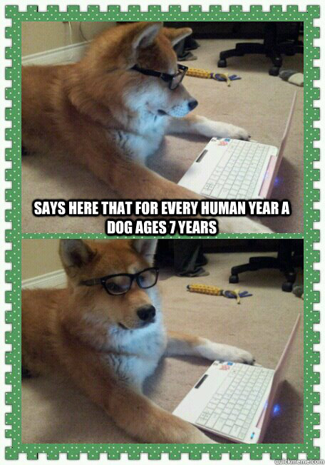 Says here that for every human year a dog ages 7 years   hello