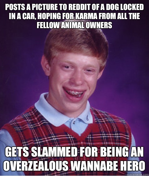 Posts a picture to reddit of a dog locked in a car, hoping for karma from all the fellow animal owners Gets slammed for being an overzealous wannabe hero  Bad Luck Brian