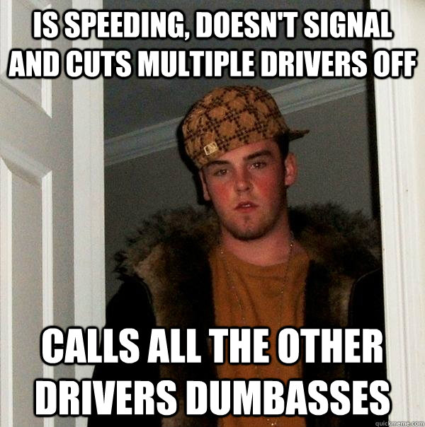 Is speeding, doesn't signal and cuts multiple drivers off Calls all the other drivers dumbasses  Scumbag Steve