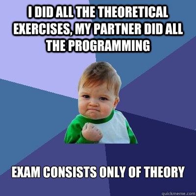 I did all the theoretical exercises, my partner did all the programming exam consists only of theory  Success Kid