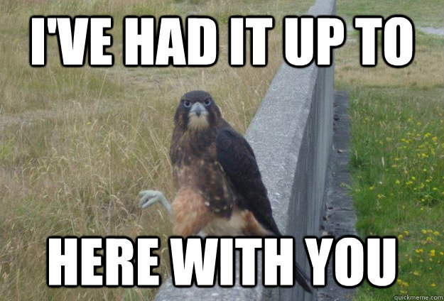 I've had it up to here with you - I've had it up to here with you  Annoyed Hawk