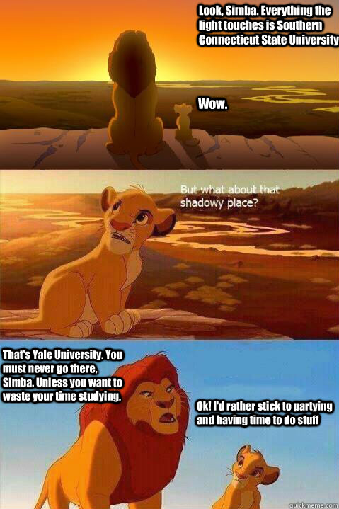 Look, Simba. Everything the light touches is Southern Connecticut State University. Wow. That's Yale University. You must never go there, Simba. Unless you want to waste your time studying. Ok! I'd rather stick to partying and having time to do stuff  Lion King Shadowy Place