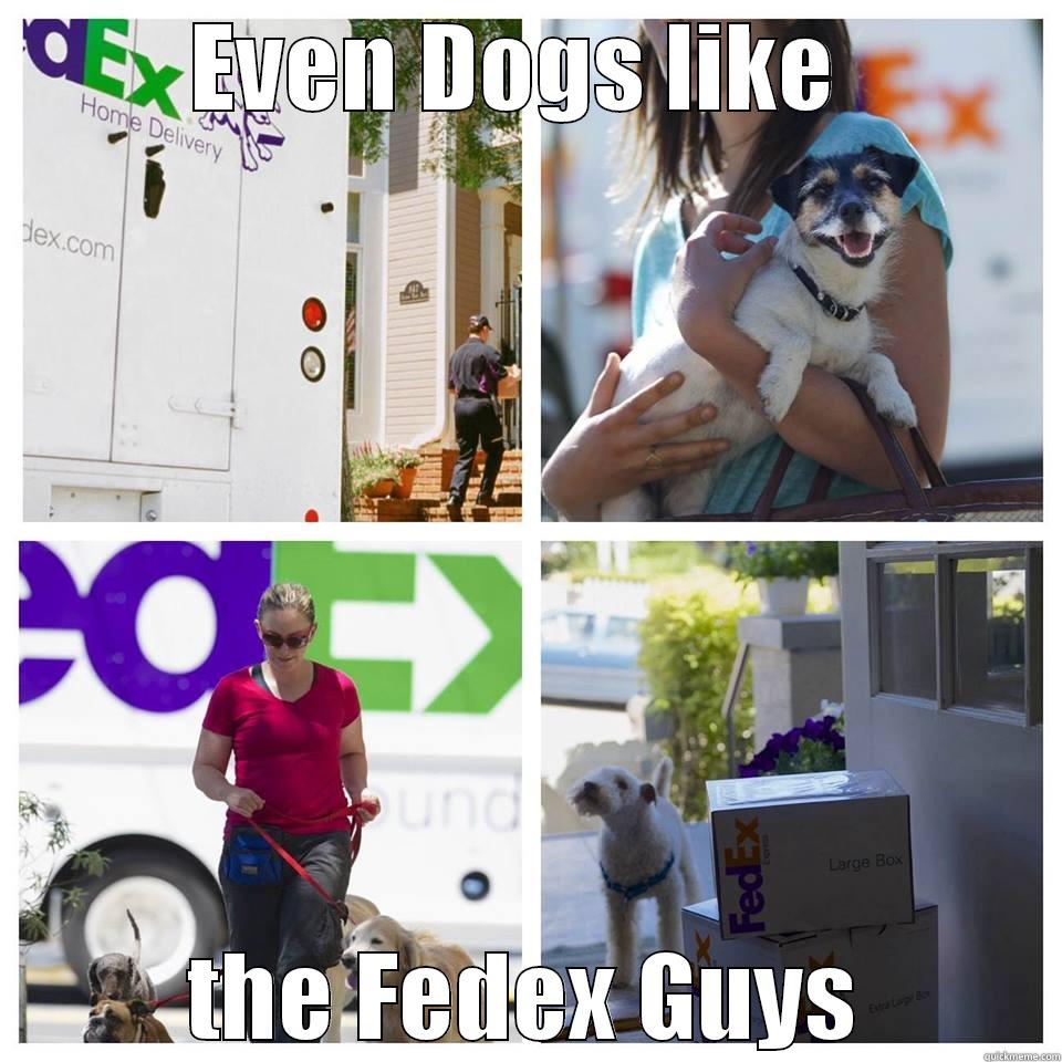 dogs and Fedex - EVEN DOGS LIKE  THE FEDEX GUYS Misc