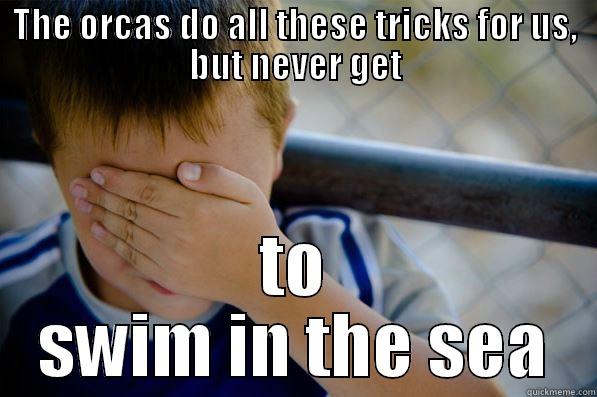 THE ORCAS DO ALL THESE TRICKS FOR US, BUT NEVER GET TO SWIM IN THE SEA Confession kid