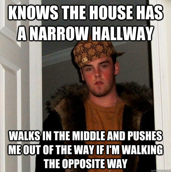 Knows the house has a narrow hallway walks in the middle and pushes me out of the way if i'm walking the opposite way  Scumbag Steve