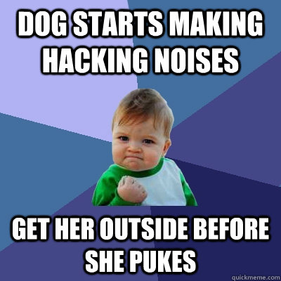 dog starts making hacking noises get her outside before she pukes - dog starts making hacking noises get her outside before she pukes  Success Kid