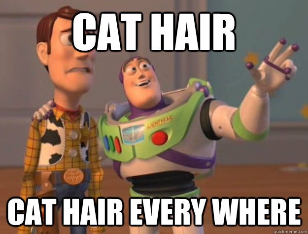 Cat hair Cat hair every where  Buzz Lightyear