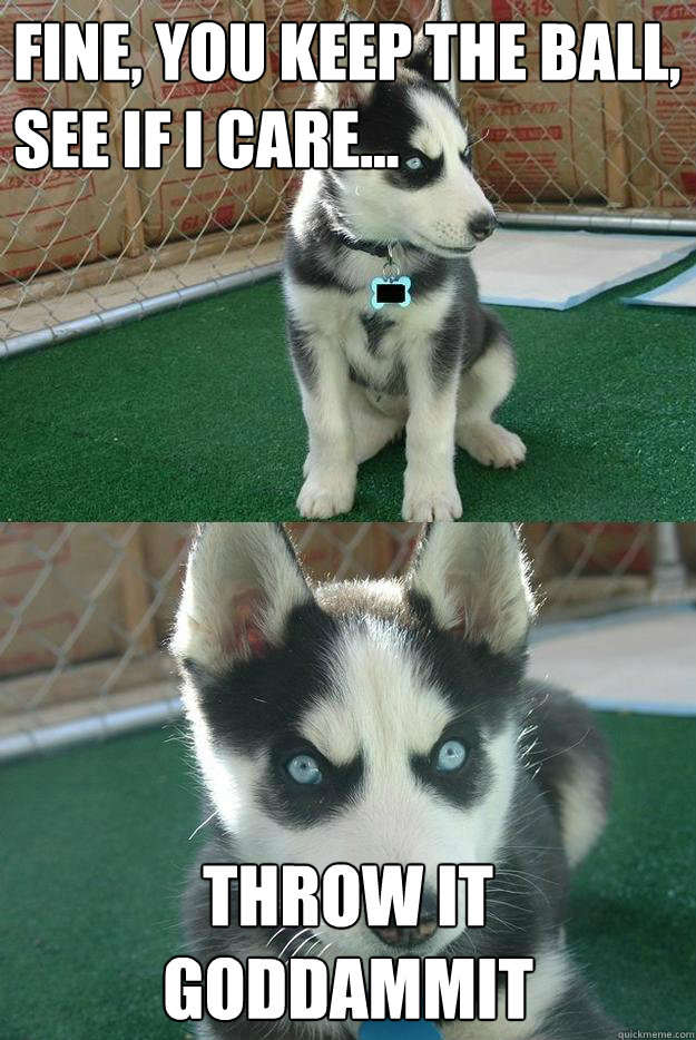 fine, you keep the ball, see if i care... throw it goddammit  Insanity puppy