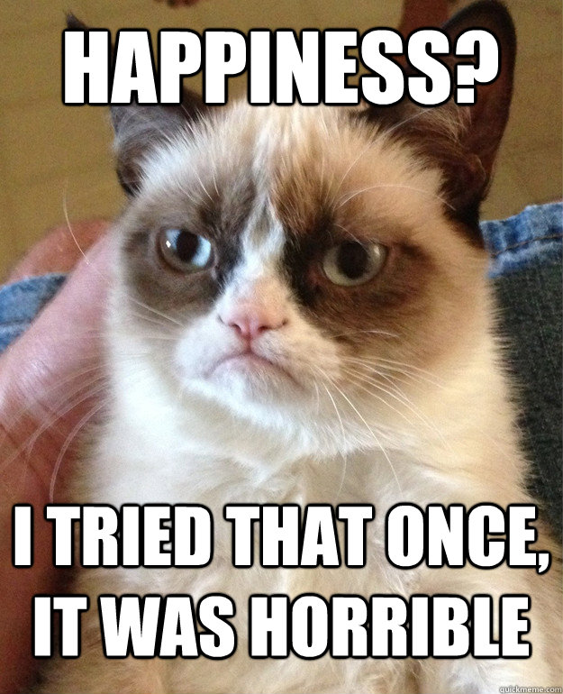 HAppiness? i tried that once, it was horrible  Grumpy Cat