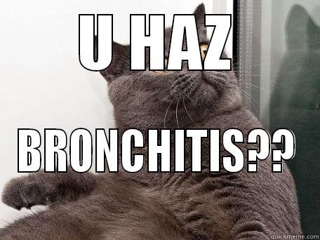 U HAZ BRONCHITIS?? conspiracy cat