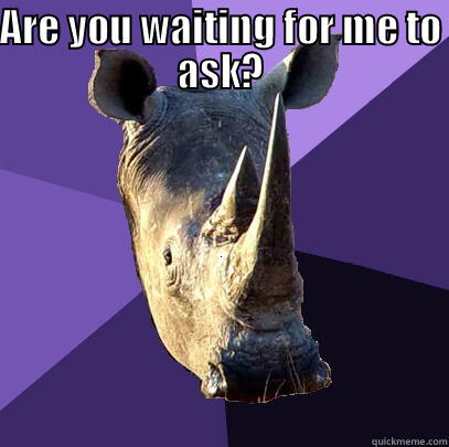 ARE YOU WAITING FOR ME TO ASK?  Sexually Oblivious Rhino