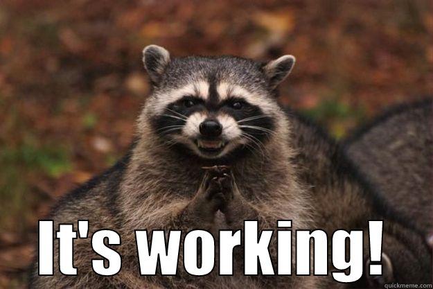  IT'S WORKING! Evil Plotting Raccoon