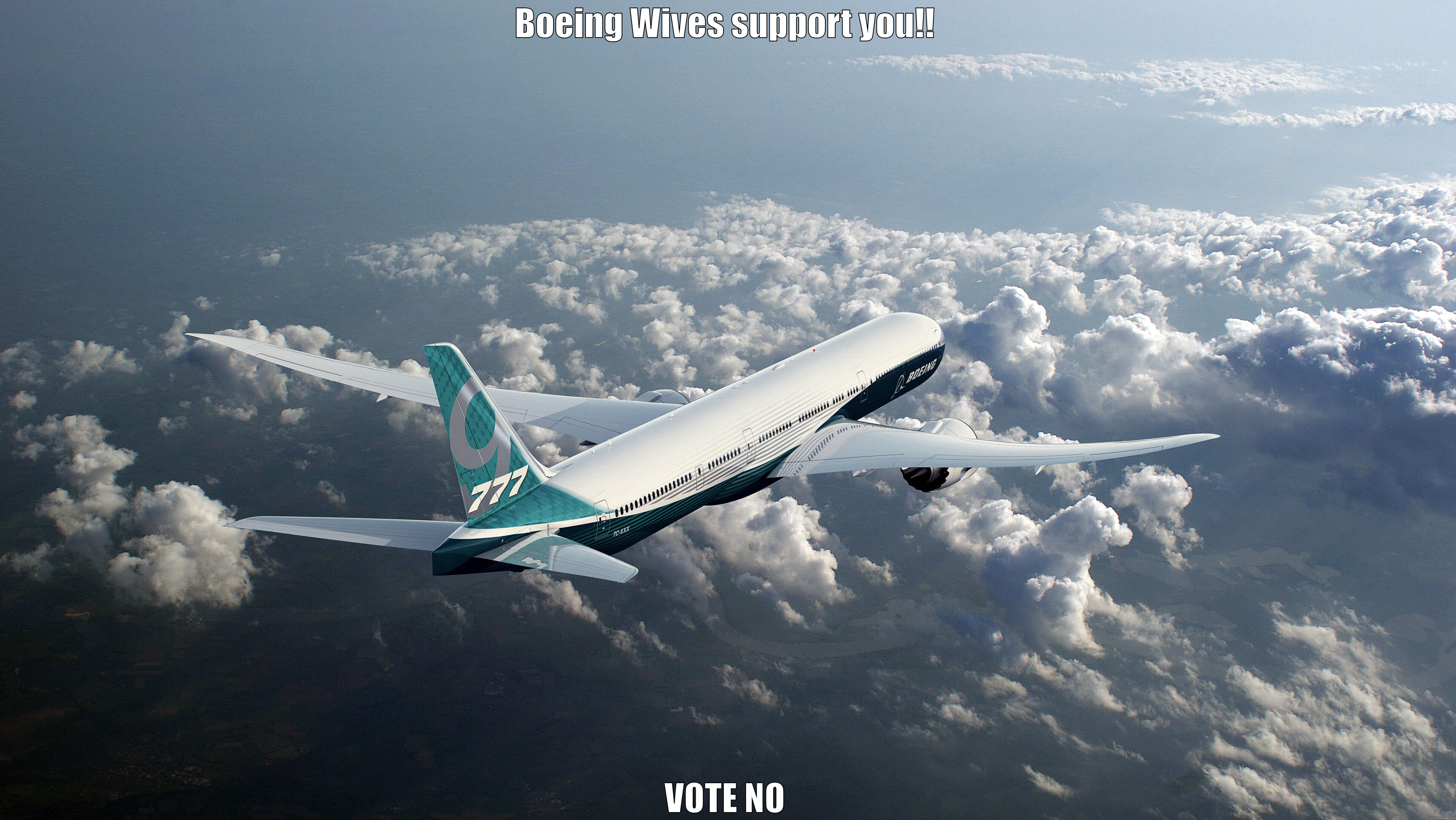 Boeing Meme - BOEING WIVES SUPPORT YOU!! VOTE NO Misc