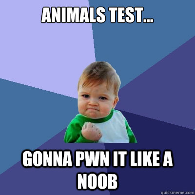 Animals Test... Gonna Pwn it like a noob  Success Kid