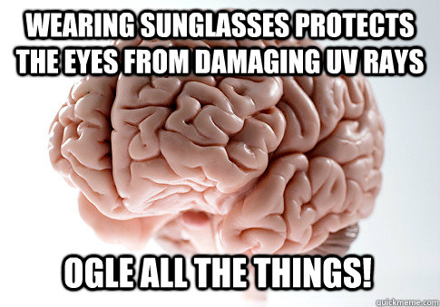 Wearing sunglasses protects the eyes from damaging UV rays Ogle all the things! - Wearing sunglasses protects the eyes from damaging UV rays Ogle all the things!  Scumbag Brain