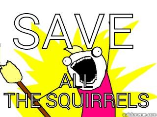 save the squirrels - SAVE ALL THE SQUIRRELS All The Things