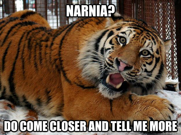 Narnia? do Come closer and tell me more  Fascinated Tiger