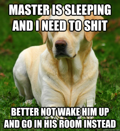 Master is sleeping and i need to shit better not wake him up and go in his room instead  Dog Logic