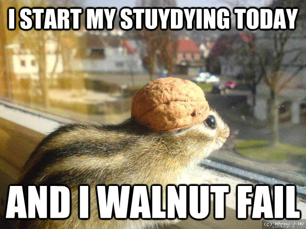 I start my stuydying today And I walnut fail - I start my stuydying today And I walnut fail  Adventure Chipmunk