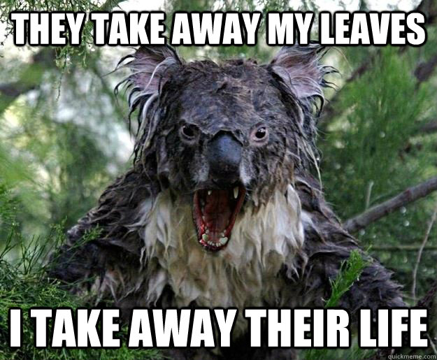 They take away my leaves I take away their life  Demon Koala