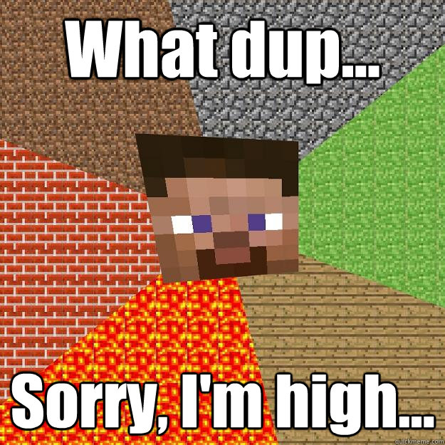 What dup... Sorry, I'm high...  Minecraft