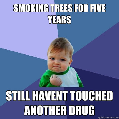 Smoking trees for five years still havent touched another drug  Success Kid