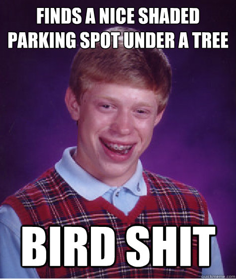 Finds a nice shaded parking spot under a tree Bird shit Caption 3 goes here  Bad Luck Brian