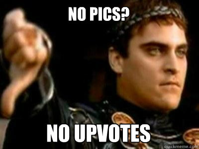 No Pics? No upvotes  Downvoting Roman