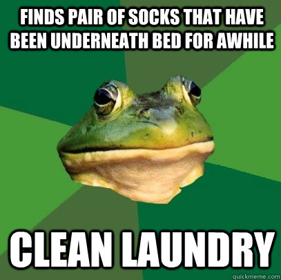 Finds pair of socks that have been underneath bed for awhile Clean Laundry - Finds pair of socks that have been underneath bed for awhile Clean Laundry  Foul Bachelor Frog