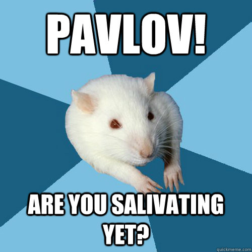 Pavlov! Are you salivating yet? - Pavlov! Are you salivating yet?  Psychology Major Rat