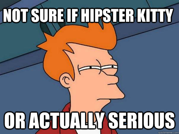 Not sure if Hipster Kitty Or actually serious  Futurama Fry