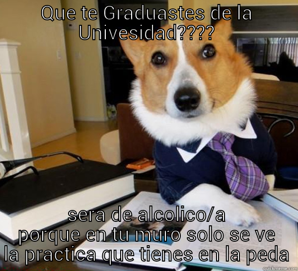 QUE TE GRADUASTES DE LA UNIVESIDAD???? SERA DE ALCOLICO/A PORQUE EN TU MURO SOLO SE VE LA PRACTICA QUE TIENES EN LA PEDA Lawyer Dog