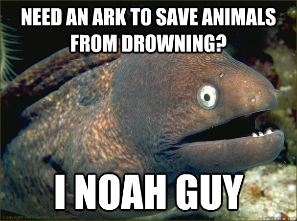 Need an ark to save animals from drowning? I noah guy  Bad Joke Eel